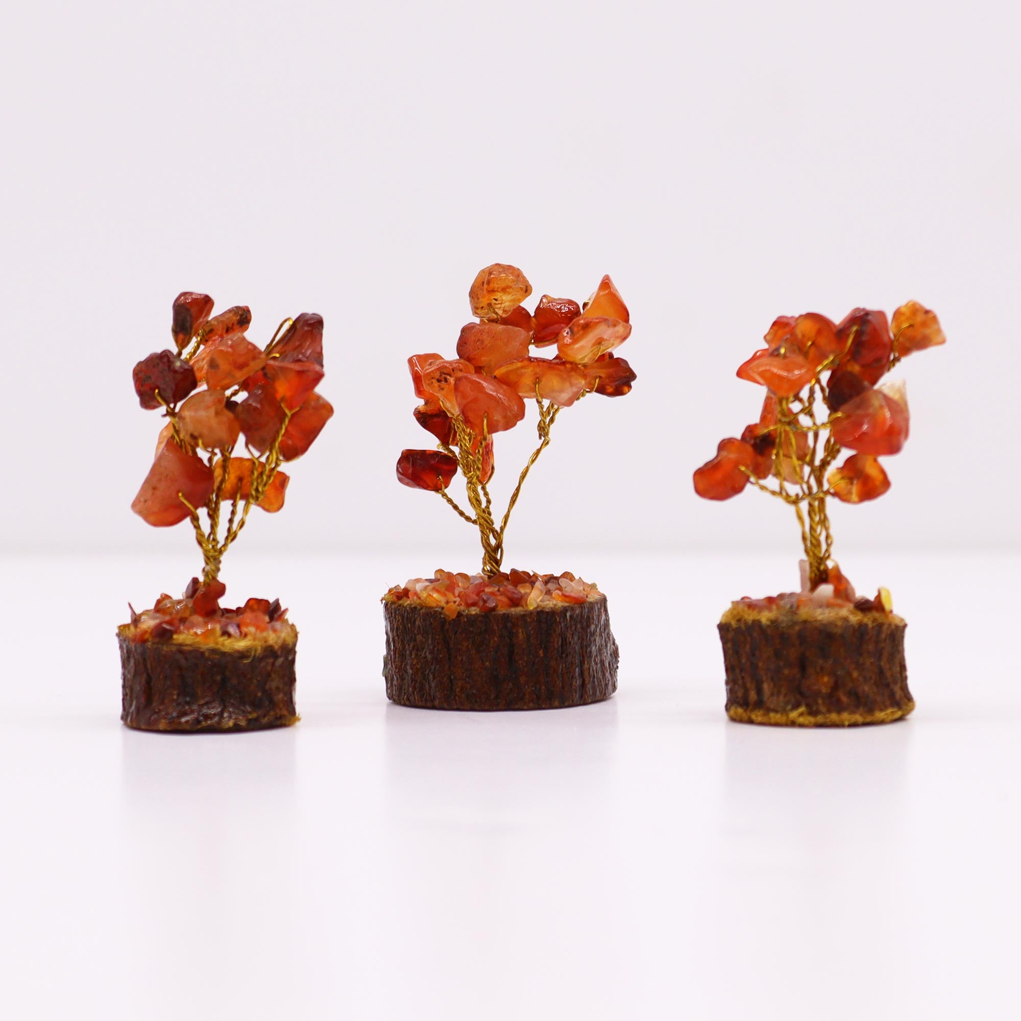 Cornalina árbol 10-15 cm con 15 piedras naranjas sobre base de madera y ramas flexibles - vitalidad, creatividad y enfoque