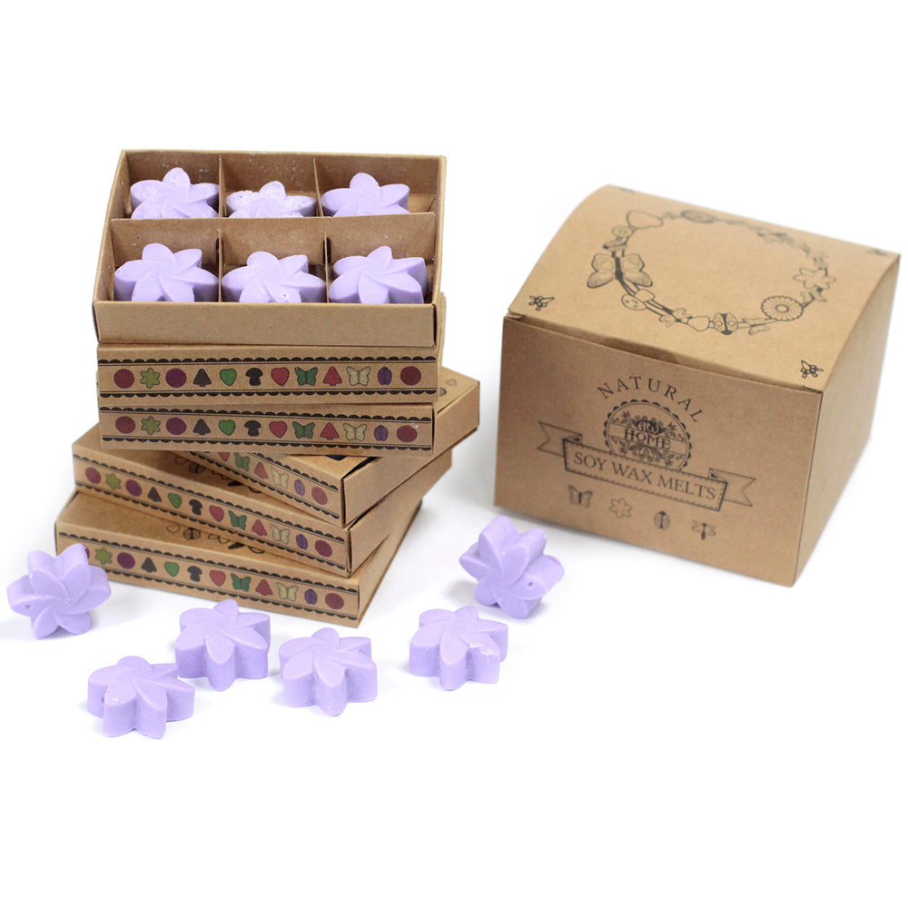Ceras de soja en caja regalo con aroma a lavanda; 6 piezas de 4x4 cm y 15 g - ideal para un ambiente relajante