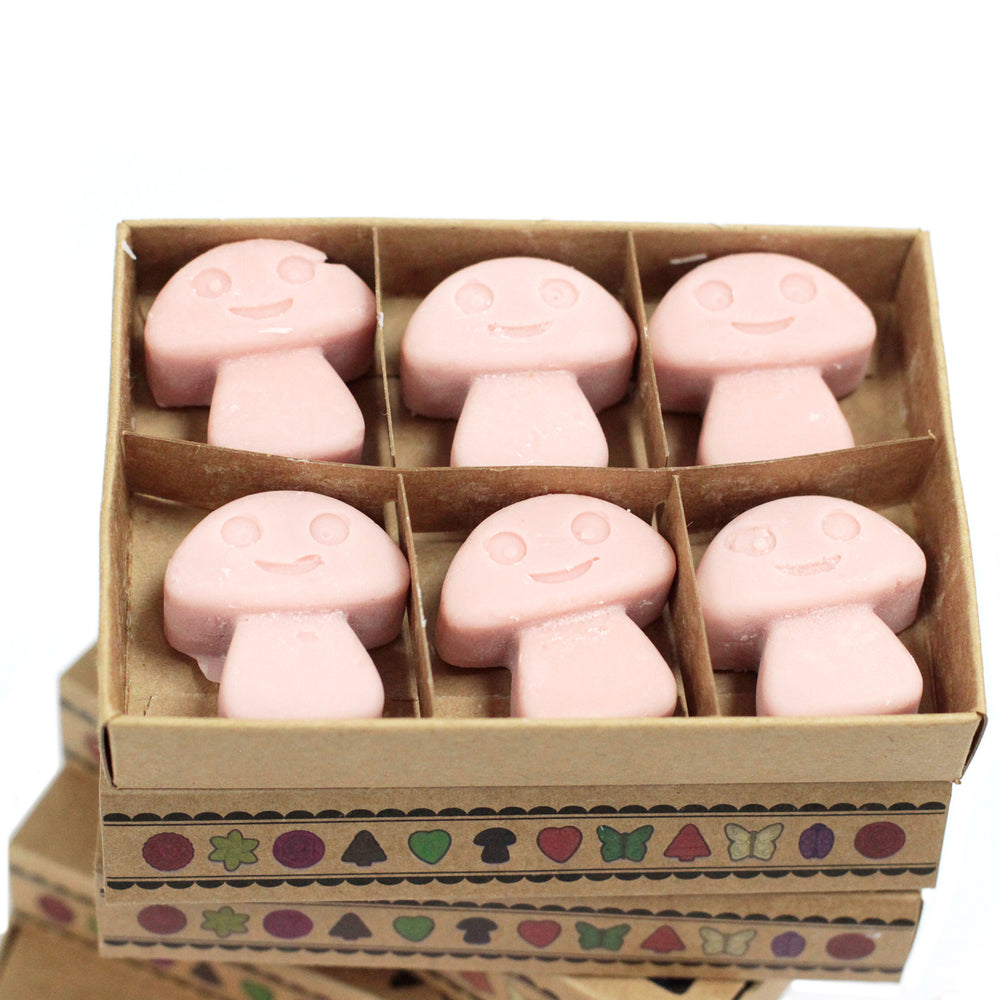 Ceras de soja en caja regalo, 6 piezas, cada 4x4 cm y 15 g, fragancia Café, para quemador de aceite — aroma cálido y natural