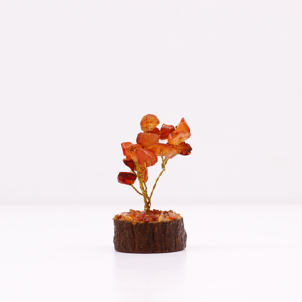 Cornalina árbol 10-15 cm con 15 piedras naranjas sobre base de madera y ramas flexibles - vitalidad, creatividad y enfoque