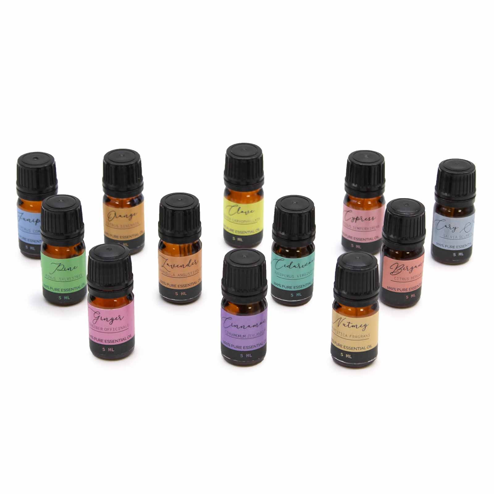 Set de Aceites Esenciales 100% Naturales: 12 frascos de 10 ml con dosificador, guardados en estuche elegante - equilibrio