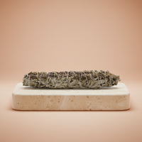 Salvia blanca y lavanda en atado de 22.5 cm con envoltorio kraft, hierba aromática visible - para purificar el ambiente