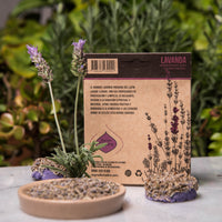 Pastillas de Incienso en Resina defumación activada con lavanda natural, pack 4 - para paz y relajación