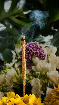 Incienso Botánico Gardenias Caléndula – sahumerio grueso en sticks, aroma floral y terroso para ambientación - armonía.