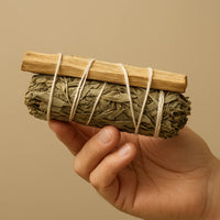  Atado de Hierbas Salvia Blanca y Palo Santo de 10 cm, hojas verdes atadas con cuerda.